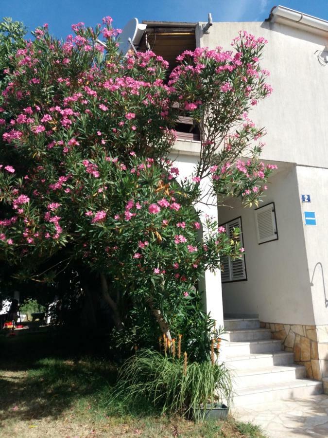 Apartman Nona Повляна Экстерьер фото